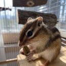 아라종합동물병원 이미지