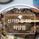 신기한꽃게장 이미지
