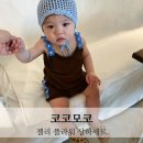 상하 | 코코모코 젤리 플라워 상하세트 브라우니 후기