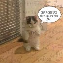빈돌스 | 지금 와서야 쓰는 2년 전 타이베이