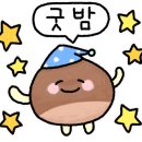 바비래쉬 - 강남구 테헤란로 322 | 바비래쉬
