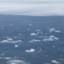 알로하산부인과의원 | 유월셋째주2_긴 기록_서울콧바람