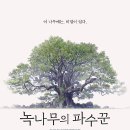 THE픽쳐스 | '녹나무의 파수꾼' (The Keeper of the Camphor Tree, 2026) 후기