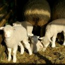 황태여행 이미지