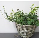 반포4동 주민센터 이미지