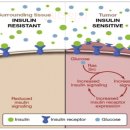 넘버원약국 이미지