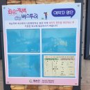 화순읍사무소 입구 | [여행리뷰] 자연 절경의 감동을 느낄 있는 전남 화순 여행지 &lt;적벽 버스 투어&gt;
