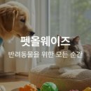 올웨이즈카페24