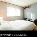 제주곶자왈별장 이미지