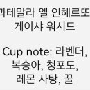 방다방로스터스