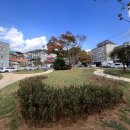 박팽년선생유허 이미지