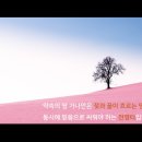 가나안 Daum카페