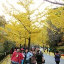 가을여행 이미지