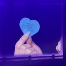 [공지] [레드벨벳 아이린 콘서트] I-WILL 올콘 후기 (feat. 굿즈, 시야, 우용씩, 레드벨벳 메들리)