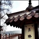 달이 비추는 곳 이미지