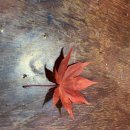 마음애고향 이미지