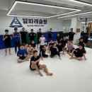 알파레슬링 이미지