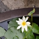 [자격증]그림책놀이 지도사 자격증과정 이미지