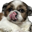 한스델리 연천전곡점 이미지