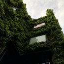 담쟁이건축사사무소 이미지