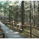 웰리힐리파크 관광단지 이미지