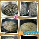 오늘은바지락칼국수