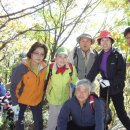 아포중학교 이미지