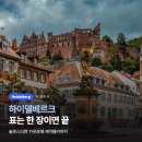 성은약국 | 하이델베르크 당일치기 | 성 입장료 따로 안 낸다, 표를 여러 장 사면 손해인 이유