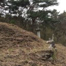 진주 박세항 묘 이미지