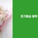 (주)미르존몰약연구소 이미지