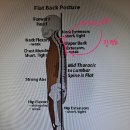 일생의 피티 이미지