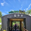 청풍안단테 이미지
