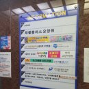 바하 고양이 병원 이미지