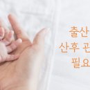 그라두스 이미지