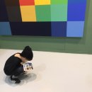(주)코이