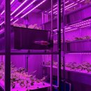 구동농장 이미지