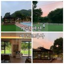 시고르까사 이미지