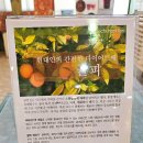 보문차병원 | 난임전문 경주 대추밭백한의원 웨이팅 꿀팁 한약 비용 총정리