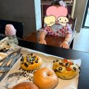 도치커피 | 수원 브런치 카페 <오렌지베이글> 아기랑 내돈내산 솔직후기