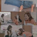 백가내자연 마이데일리