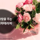 아로마테라피 티스토리
