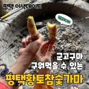평택참숯가마 | 평택 포승 찜질방 데이트 추천 고기와 군고구마를 즐길 수 있는 평택황토참숯가마 내돈내산 후기
