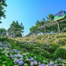 남구-055 이미지