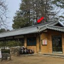 풍무로 택시승차장주변 | 남이섬 입장권 놀거리 남이섬 동물들 타조 공작후기