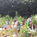 화순허브뜨락 이미지