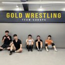 골드레슬링 이미지