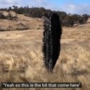 우주농장2 이미지