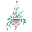 핑크홀리 이미지