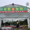 상원농원 네이버블로그