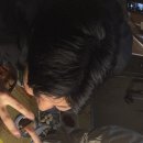 봉덕농장 이미지